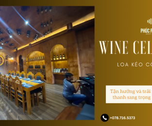 Lắp Loa Kéo Điện KĐ-6800 trị giá hơn 20 triệu đồng cho Hầm Rượu tại Thành Phố Long Khánh