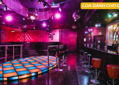 Loa Dành Cho Quán PUB Là Gì ?