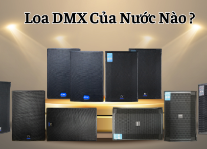 Loa DMX Của Nước Nào ?