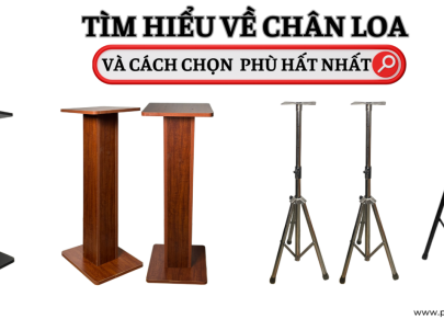 Tìm hiểu về Chân loa và cách chọn mua phù hợp nhất 