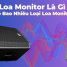 Loa Monitor Là Gì ? Có Bao Nhiêu Loại Loa Monitor ?