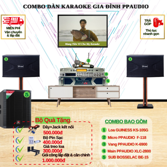 Combo Dàn Karaoke Gia Đình PPAUDIO 11