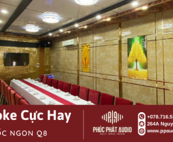Lắp Đặt Dàn Karaoke Cực Hay Trị Giá Hơn 48 Triệu Đồng Cho Quán Ốc Ngon ở Quận 8 , Tp.Hồ Chí Minh