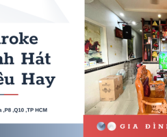 Lắp Đặt Dàn Karaoke Gia Đình Siêu Hay Chú Châu Tại Quận 8