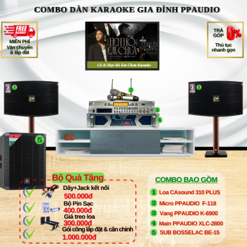 Combo Dàn Karaoke Gia Đình PPAUDIO 12