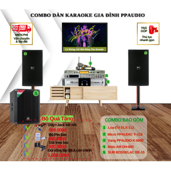 Combo Dàn Karaoke Gia Đình PPAUDIO 14