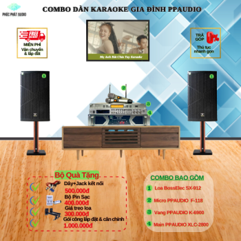 Combo Dàn Karaoke Gia Đình PPAUDIO 04