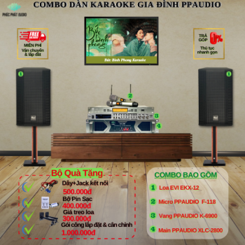 Combo Dàn Karaoke Gia Đình PPAUDIO 08