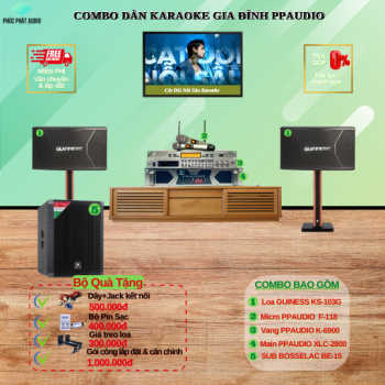 Combo Dàn Karaoke Gia Đình PPAUDIO 10
