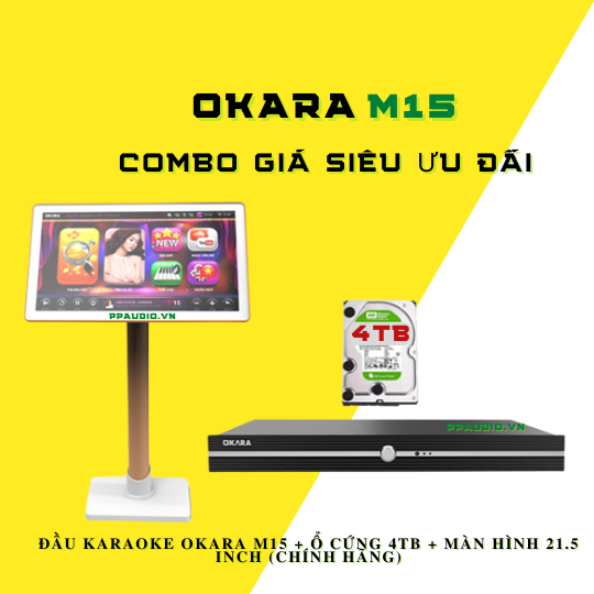 Đầu Okara M15 4TB