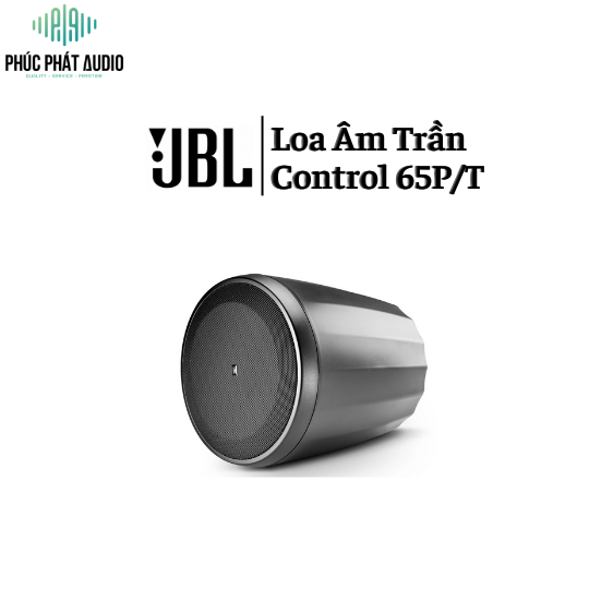 Loa Thả trần JBL Control 65P/T 