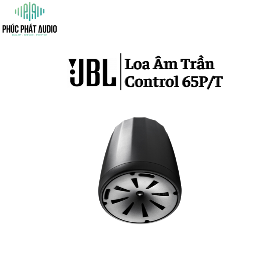 Loa Thả trần JBL Control 65P/T 