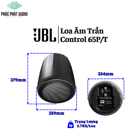 Loa Thả trần JBL Control 65P/T 