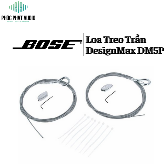 Loa Bose DesignMax DM5P