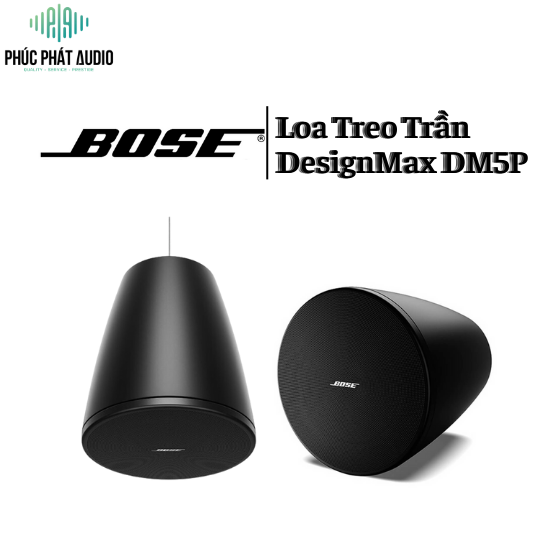 Loa Bose DesignMax DM5P
