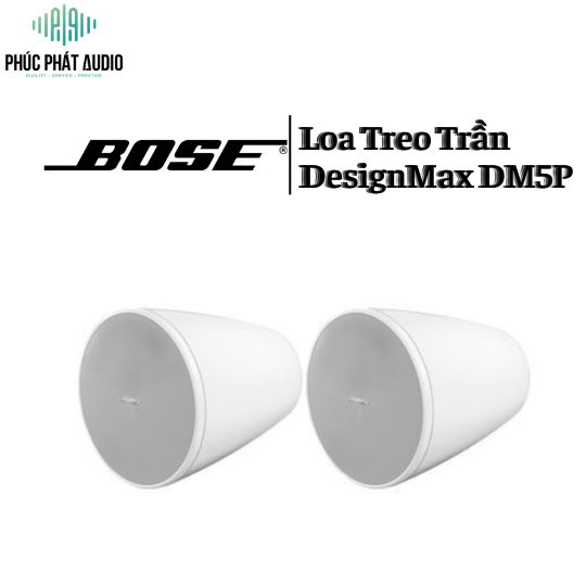 Loa Bose DesignMax DM5P
