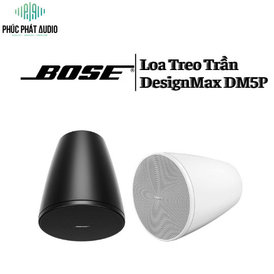 Loa Bose DesignMax DM5P