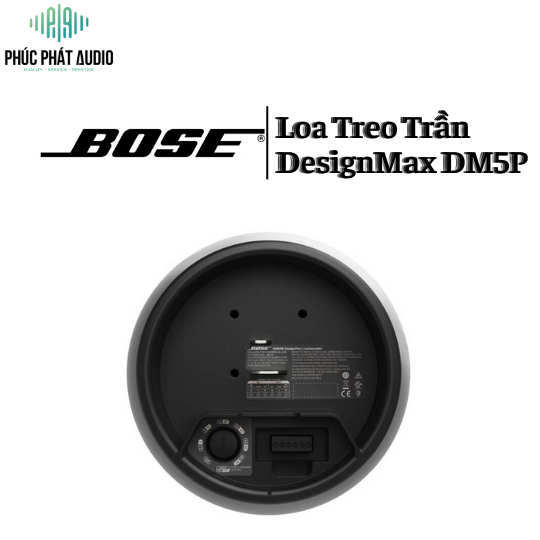 Loa Bose DesignMax DM5P