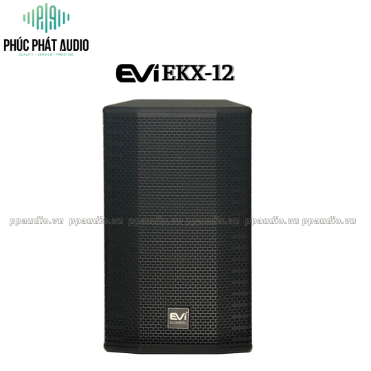 Loa  Evi EKX 12