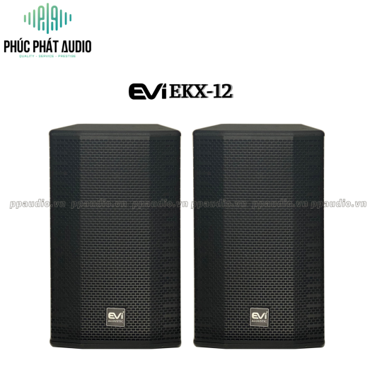 Loa  Evi EKX 12