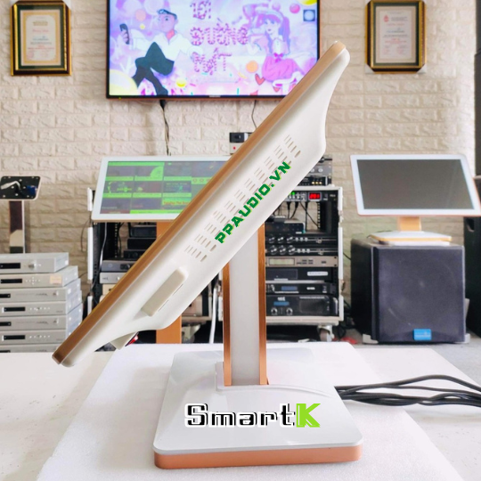 Màn Cảm Ứng  22 inch SMARTK