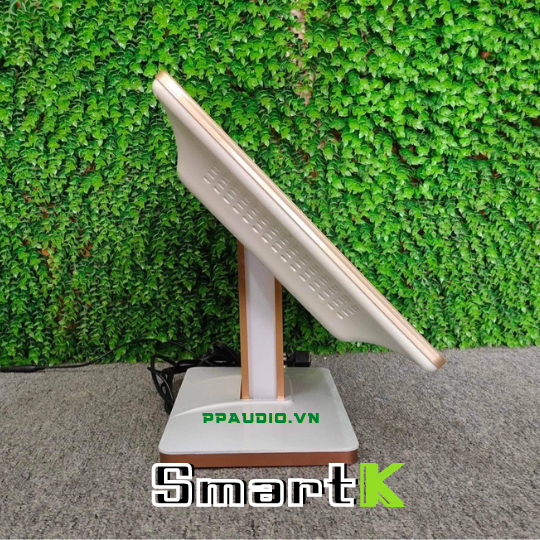 Màn Cảm Ứng  22 inch SMARTK