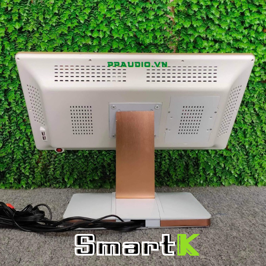 Màn Cảm Ứng  22 inch SMARTK