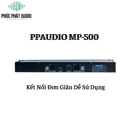 Micro PPAUDIO MP-500