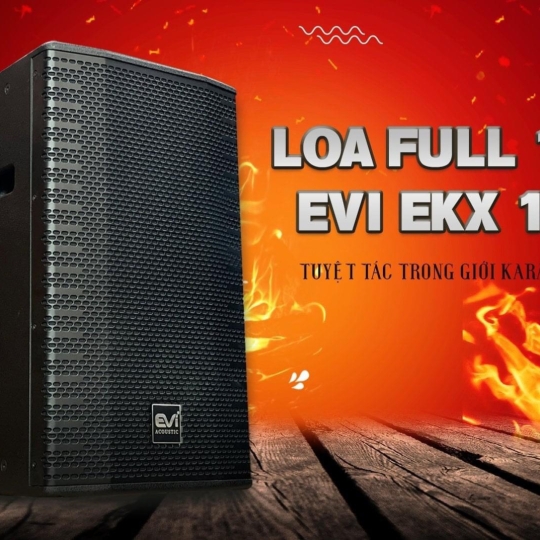 Loa  Evi EKX 12